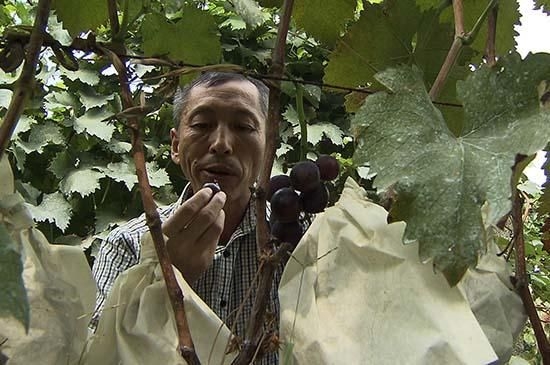 《流行无限》12月8日播出的《昌云军 葡萄架下的梦想》
